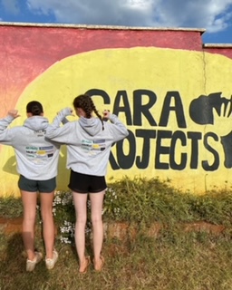cara projects back hoodies